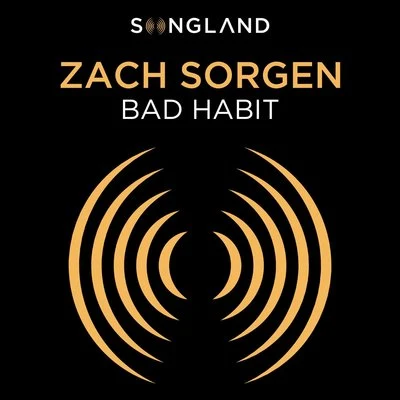 Zach SorgenBad Habit (From "Songland")