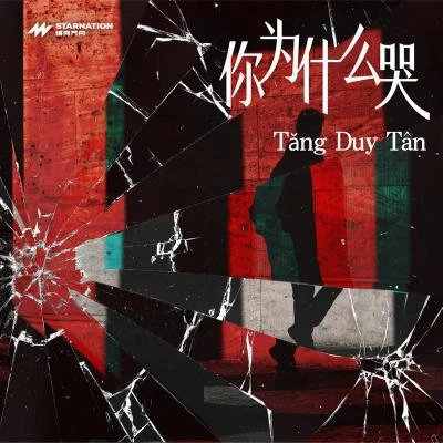 Tăng Duy Tân/Hoa Minzy你為什麼哭