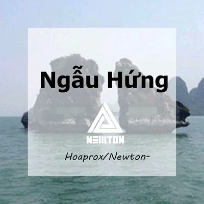 馬子木/Newton-Ngẫu Hứng（Newton- Bootleg）