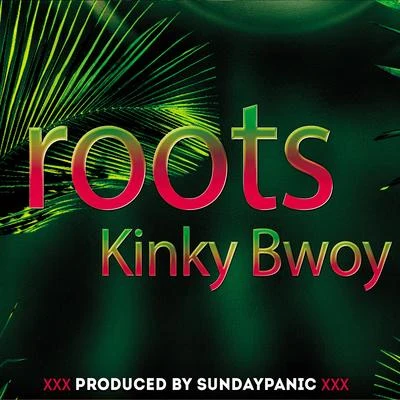 Kinky BwoyRoots