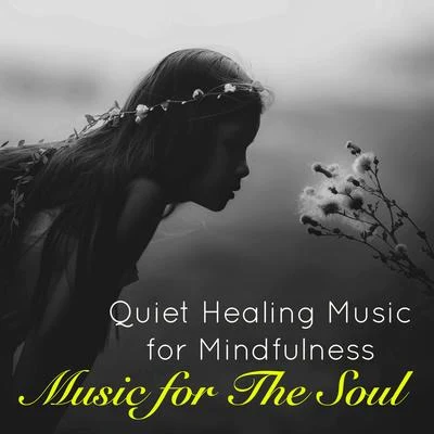 LAKO/Girwells/Enyo/Salento Guys/Dazed Creepz/RickyseeMusic for The Soul – Quiet Healing Music for Mindfulness