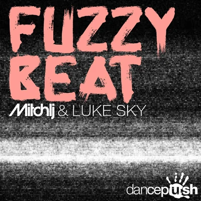 Mitch LJFuzzy Beat