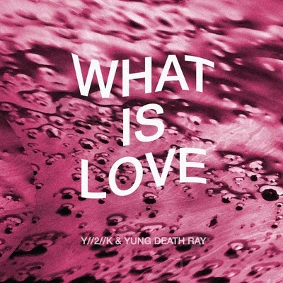 Y2KWhat is Love?