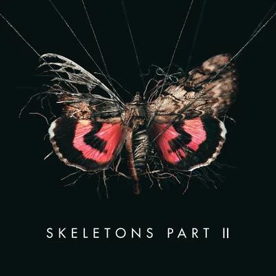 MISSIO/SkruxSkeletons: Part 2