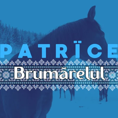 PatriceBrumarelul