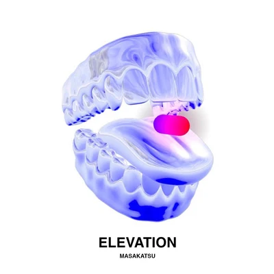 Elevation/ElaraMasakatsu