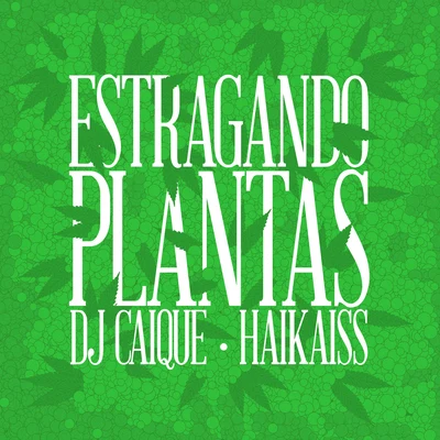 Dj CaiqueEstragando Plantas (Radio Mix)