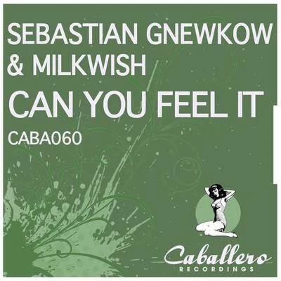 Milkwish/Quinten 909/Arkoss/Pow! Pow!/DonagrandiCan You Feel It