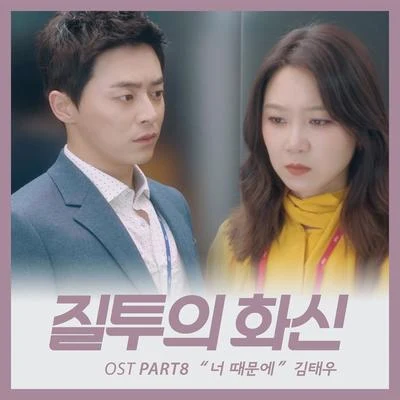 金泰宇/Bada/李志勳/Ailee/V.A./吳萬石/洪景民/100%질투의 화신 OST Part.8