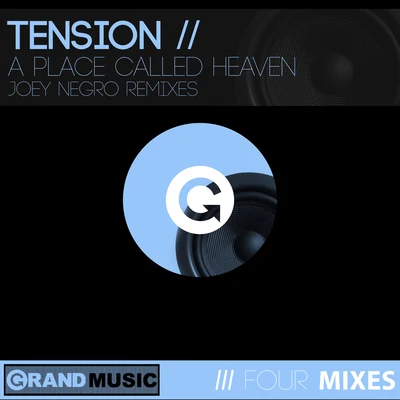 Tension/Durrty Goodz/Nathan/Gappy Ranx/Yorkshire Terrierz/BMD/Shystie/J2K/Bomb Squad/JamakabiA Place Called Heaven (Joey Negro Remixes)