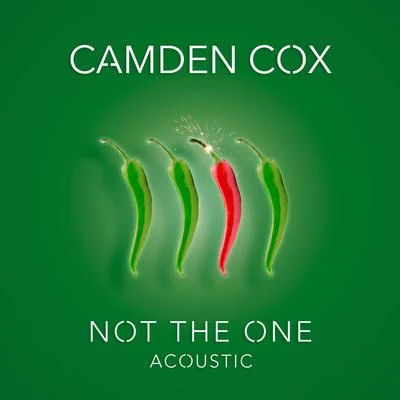 Camden Cox/Shirobon/RADIxNot the One (Acoustic)