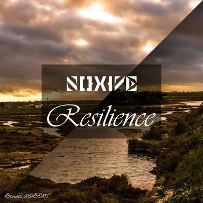 NoxiveResilience