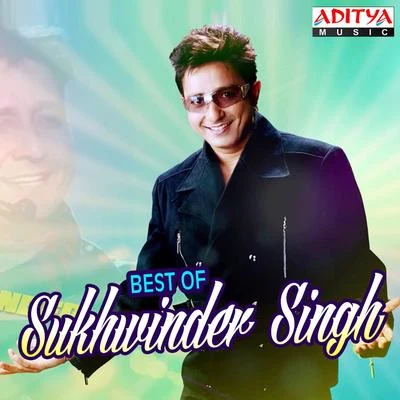 Surjo Bhattacharya/Sukhwinder Singh/Hema Sardesai/Asha Bhosle/Roop Kumar Rathod/Sujata TrivediBest of Sukhwinder Singh