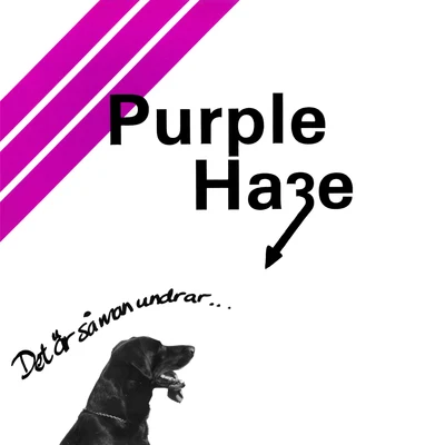 Purple HazeDet Är Så Man Undrar