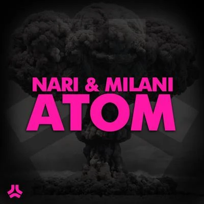 Nari & MilaniAtom