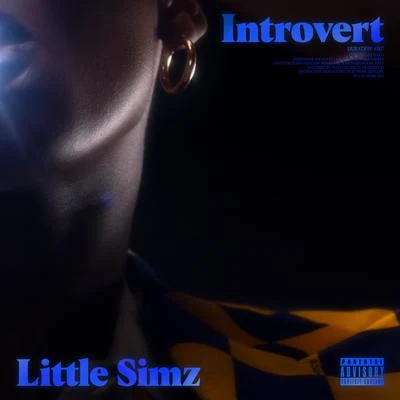 Little Simz/Michael KiwanukaIntrovert