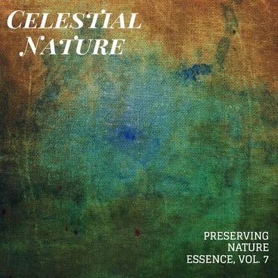 Asian Zen: Spa Music Meditation/White Noise Meditation/Deep Rain SamplingCelestial Nature - Preserving Nature Essence, Vol. 7