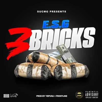 E.S.G.3 Bricks