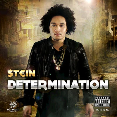 SteinDetermination