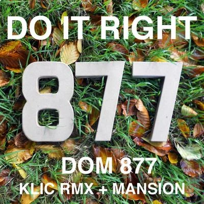 Dom 877Do It Right – Single