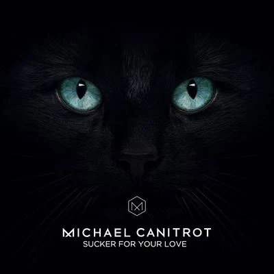 Michael Canitrot/The Rurals/Afterlife/Murat Tepeli/Fug/Lisa Shaw/Quintino & Blasterjaxx/Prosumer/Geoffrey Williams/Hygher BabySucker for Your Love (Radio edit)