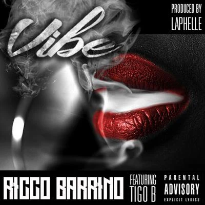 The HamilTones/Ricco BarrinoVibe (feat. Tigo B) - Single