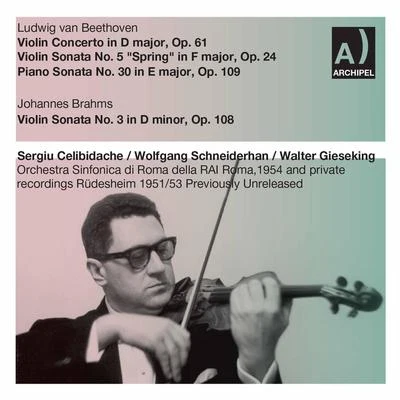 Sergiù Celibidache/David Oistrakh/The Pittsburgh Symphony Orchestra/THE LONDON PHILHARMONIC ORCHESTRA/Nathan Milstein/The Royal Tuscany Orchestra/Vladimir Yampolski/The Philadelphia Orchestra/Karl Brazda/Pyotr Ilyich TchaikovskyBeethoven & Brahms: Works for Violin & Piano (Live)