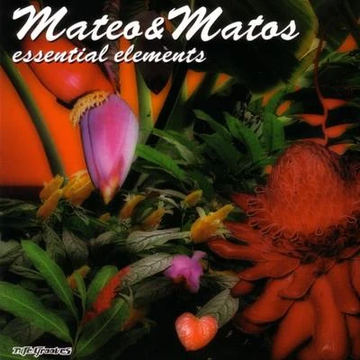 Mateo & MatosEssential Elements