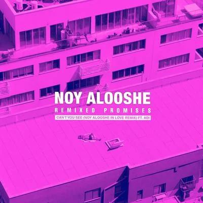 Noy AloosheCant You See (In Love Remix)