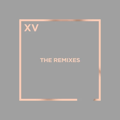 Dirty South/Daniel Merriweather/Mark RonsonXV: The Remixes (Extended)