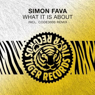 Simon FavaWhat It Is About