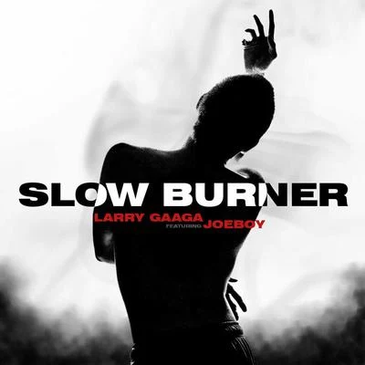 2Baba/Larry GaagaSlow Burner