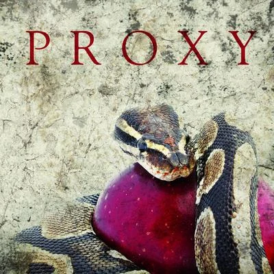 ProxyProxy