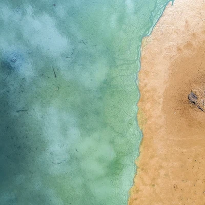 Musica Para Dormir y Sonidos de la NaturalezaPrimavera Y Verano 2019: Hermosa Lluvia En Bucle Para Dormir Y Relajarse