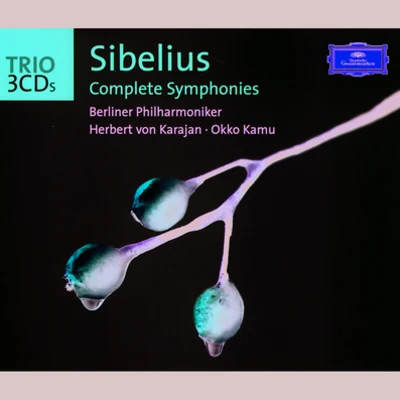 Symfoniorkestern Norrköping/Erland Hagegard/Jorma Panula/Okko Kamu/Britt-Marie A如何能Sibelius: Complete Symphonies