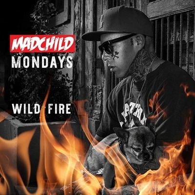 Joseph Rose/MadchildWild Fire