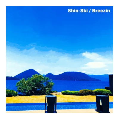 Shin-SkiBreezin