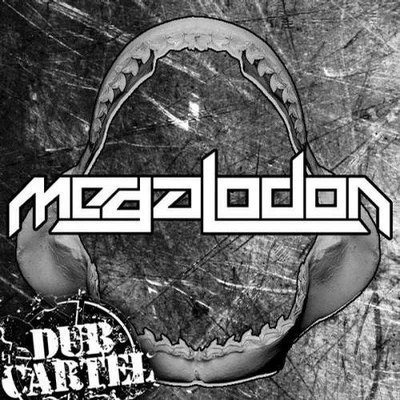 MegalodonRectify