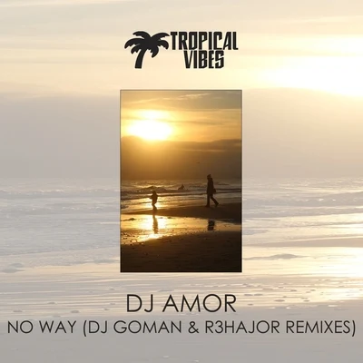 Dj AmorNo Way (Remixes)