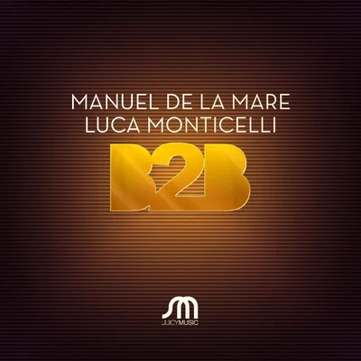 Luca MonticelliB2B