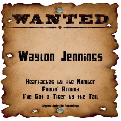 Waylon Jennings/Donna FargoWanted (Rerecordings)