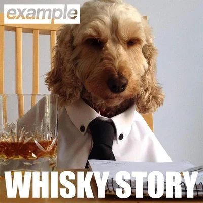 Example/Wretch 32Whisky Story