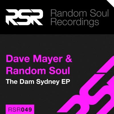 Dave MayerThe Dam Sydney - Single