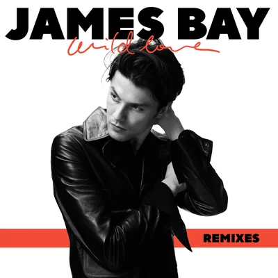 James BayWild Love (Remixes)