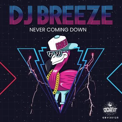 DJ BreezeNever Coming Down