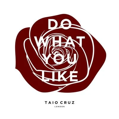 Taio CruzDo What You Like