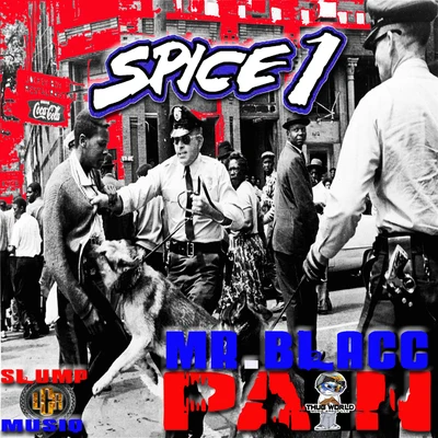 Spice 1Hooli AutomaticDaddy RichPain (feat. Mr. Blacc & Slump Musiq)