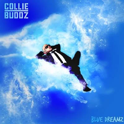 Collie BuddzBlue Dreamz