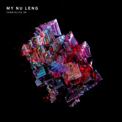 My Nu LengFabriclive 86