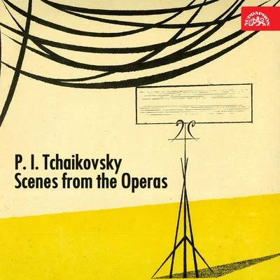 Premysl KocíTchaikovsky: Scenes From The Operas